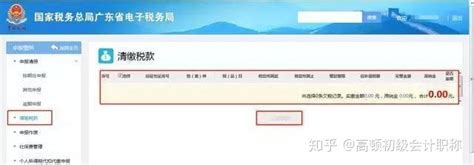 如何在网上报税（国税）_360新知