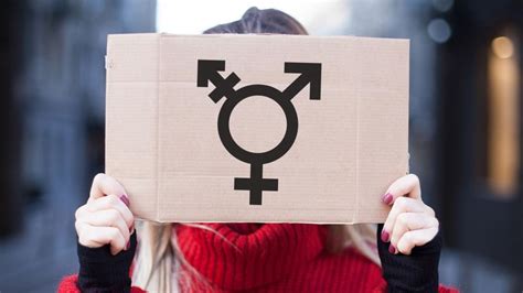 Profesor despedido por negarse a usar el 'Pronombre preferido de una ...