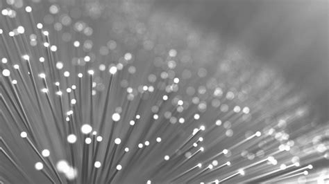 Case Spanish Translation at Helen Williamson blog