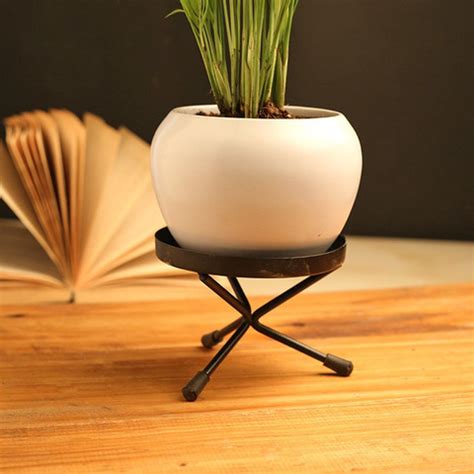 Floweraura Chamaedorea Plant Price in India - Buy Floweraura ...