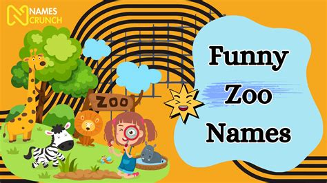 Cute Names For Zoos