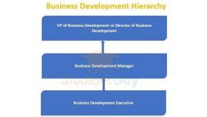 Business Development Hierarchy Structure 的图像结果