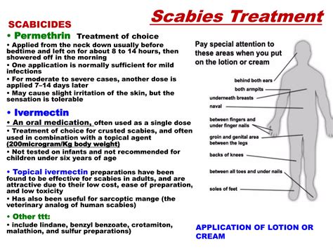 Scabies | PPTX