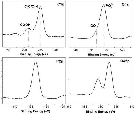 In Vitro and in Vivo Study of Poly(Lactic–co–Glycolic) (PLGA) Membranes ...