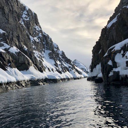 Antarctica Tourism (2024): All You Need to Know Before You Go