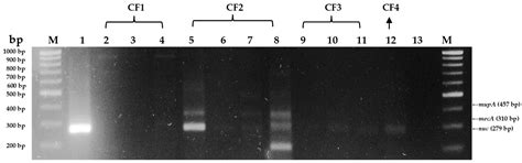 Comparative Antimicrobial Resistance and Prevalence of Methicillin ...