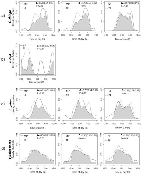 Activity Patterns of Native Carnivores in Central Chile: Are They ...