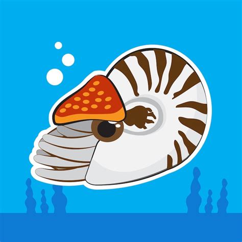 Shark snails Images - Free Download on Freepik