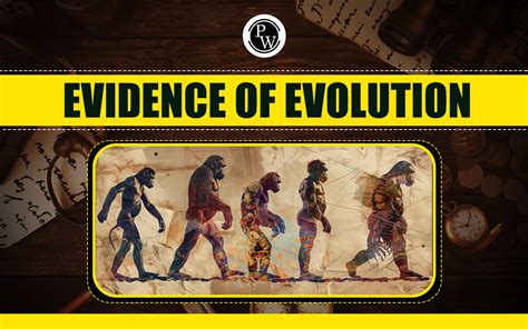 Image result for Evidence Against Evolution