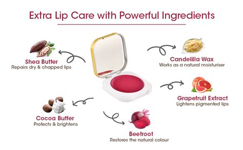 TAC - The Ayurveda Co. Beetroot Lip Balm For Men & Women With Shea ...