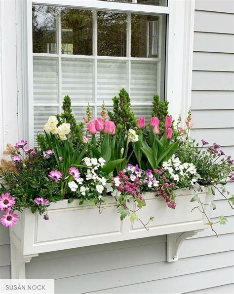 Pin by Helen Lynch on Window Boxes in 2025 | Window box flowers ...