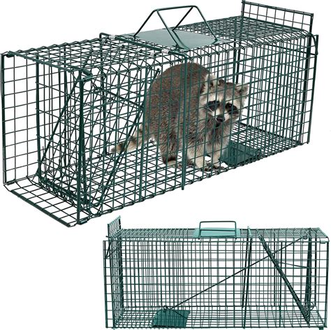 Amazon.com : Qualirey 2 Pcs Humane Squirrel Trap Heavy Duty Live Animal ...