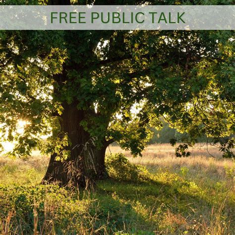 Trees and our climate, Under The Edge Arts, Yate, 15 April 2025 | AllEvents