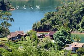 Image result for 杂谈
