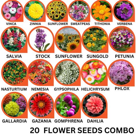 Products – Plants Guru