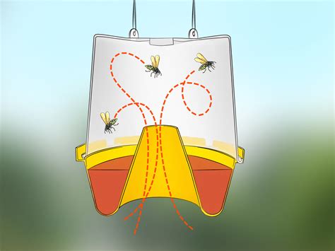 3 Ways to Kill Yellow Jackets in the Wall - wikiHow