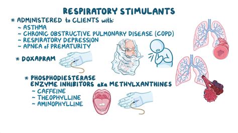 Respiratory stimulants: Nursing pharmacology - Osmosis Video Library