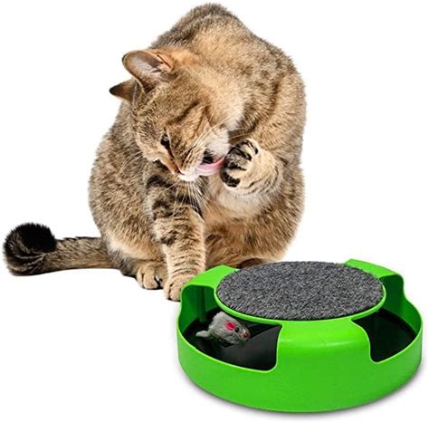 Buy PSK PET MART Interactive Cat Toys Indoor Cats Mouse Moving Best ...