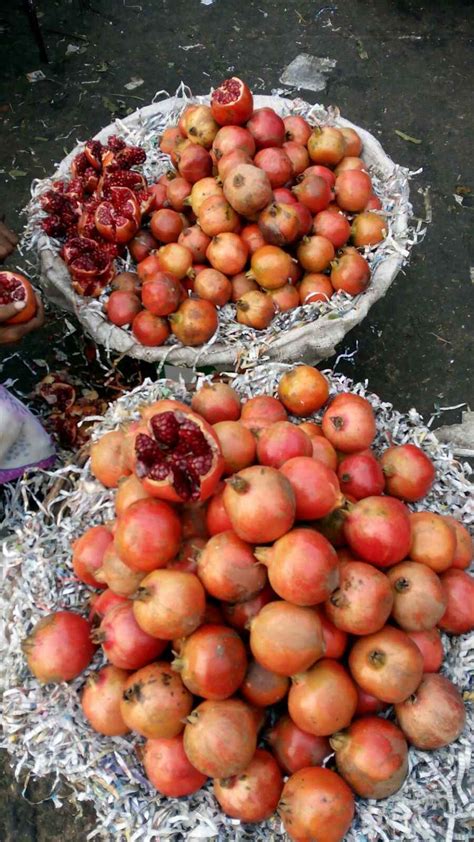 Image result for Mandi