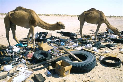 Image result for How Waste Disposed in Saudi