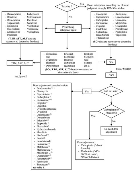 Anticancer Dose Adjustment for Patients with Renal and Hepatic ...