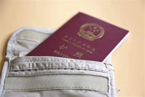 护照/旅行证简介