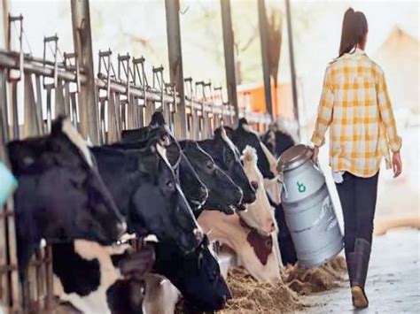 Antibiotic water is reaching homes, the effect of drugs is also reduced