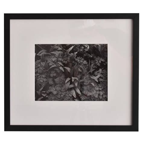 Minor White Vintage Abstract Gelatin Silver Photograph at 1stDibs