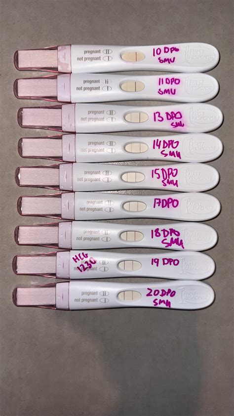 Expired Pregnancy Tests : r/lineporn