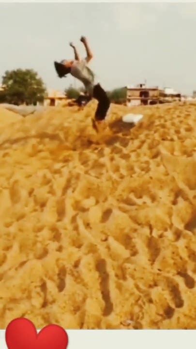 Flipper Stunt 的图像结果