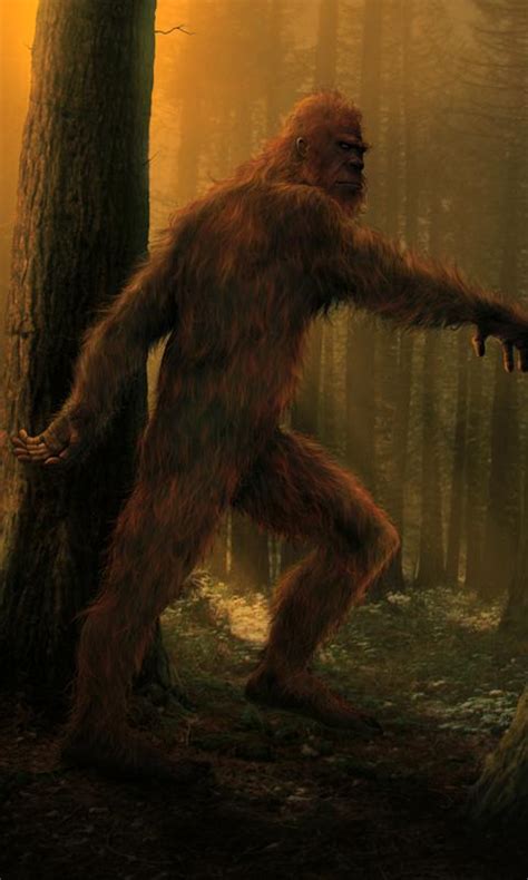 Image result for Bigfoot Found Alive