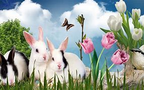 Image result for Images of Early Spring with Bunnies