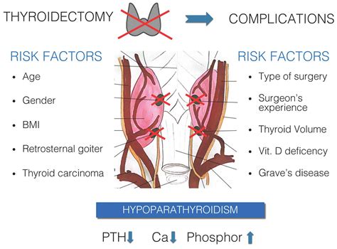 Risk Factors for Calcium-Phosphate Disorders after Thyroid Surgery