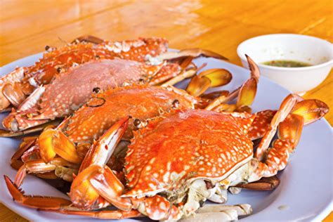 秋天哪些人不能吃螃蟹 盘点螃蟹的禁忌_食之有味_中医_99健康网