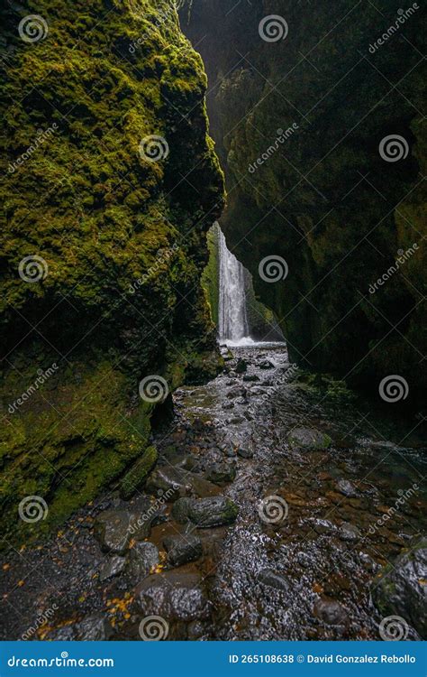 Nauthusagil Waterfall Canyon on South Coast, Iceland Stock Photo ...