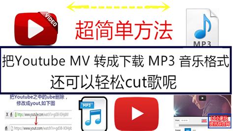 mp3歌曲免费下载_全网歌曲免费下载 1.6.8.0 免费版_零度软件园