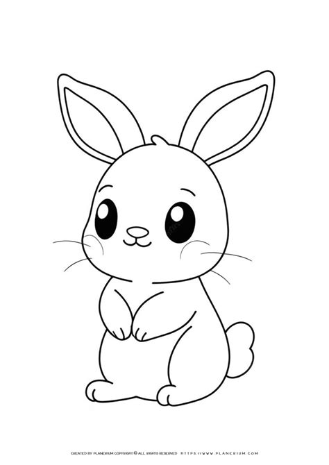 Coloring Page of a Bunny: Unleash Your Creativity and Bring Adorable ...