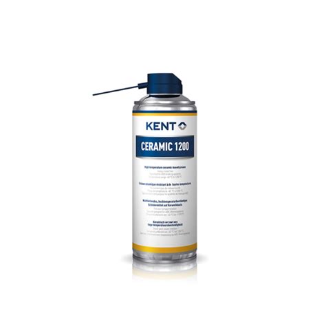 Image result for Kent DPF Cleaner