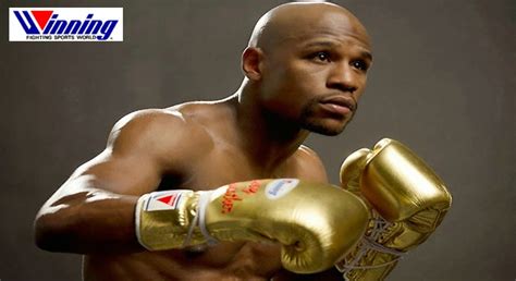 Image result for Winning Boxing