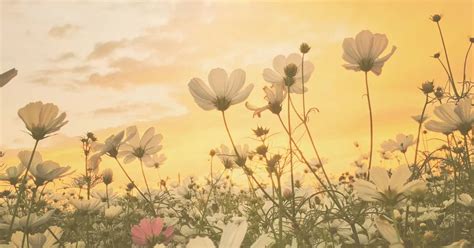 Image result for Spring Self-Reflection