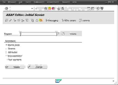 What Is SAP Program 的图像结果
