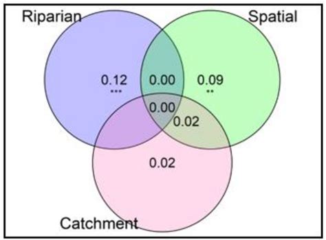 Riparian Vegetation Structure Influences Terrestrial Invertebrate ...