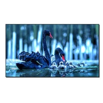 Saldi Schermo per proiettore a cornice fissa WUPRO BSP 93/100/110/120 ...