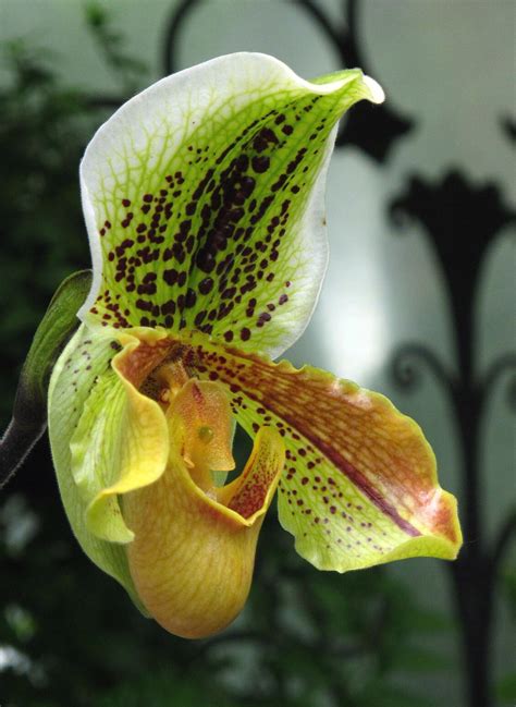 Gaithersburg Water Park Opens May 28, 2022