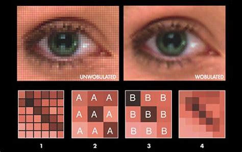 Image result for Difference Between Native and Maximum Resolution