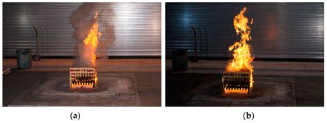 Predict Future Transient Fire Heat Release Rates Based on Fire Imagery and Deep Learning