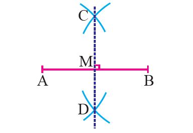 Image result for Perpendicular Line Bisector