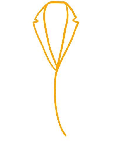 Image result for How to Draw a Jacket Pattern