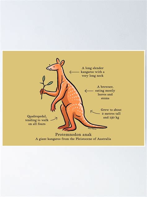 Giant Kangaroo, from the Wild Animals of World Series N25 for Allen ...