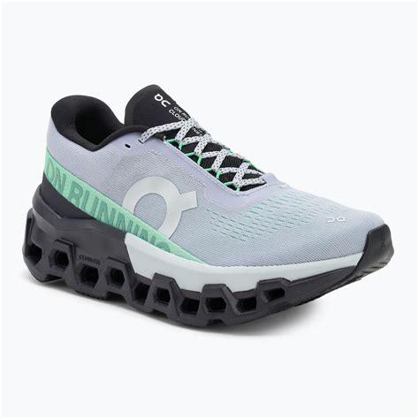 Women's On Cloudmonster 2 nimbus/arctic running shoes (3WE10113373 ...